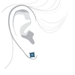 Blue White Diamond Earrings Studs 0.61ct Sterling Silver 6 Blue White Diamond Earrings Studs 0.61ct Sterling Silver -Borcely Jewelry Sales blue white diamond earrings studs 061ct sterling silver 3