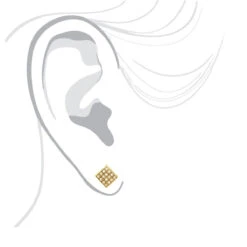 Champagne Diamond Stud Earrings 0.23ct 10K Yellow Gold -Borcely Jewelry Sales champagne diamond stud earrings 023ct 10k gold body yellow